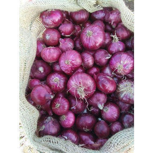 Premium Fresh Pink Onion