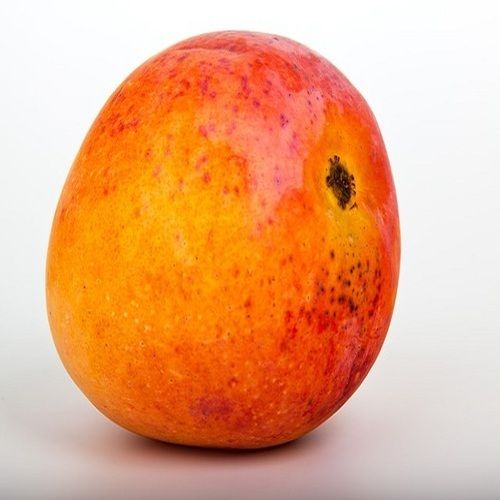 Highly Nutritious Delicious Sweet Healthy Organic Fresh Mango Size: Standard