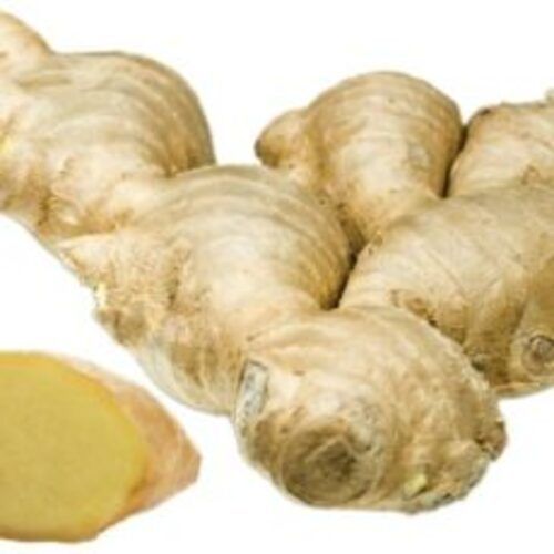 Natural Good Taste and Healthy Brown Fresh Ginger