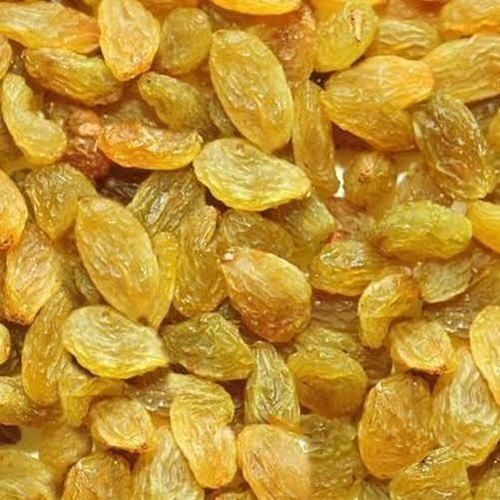 Naturally Produced And Processed Long Size Sweet Big Size Organic Dry Golden Raisins