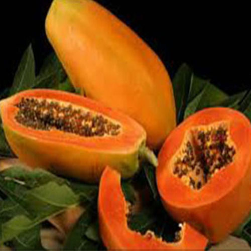 Easy To Digest Natural Sweet Taste Healthy Fresh Papaya