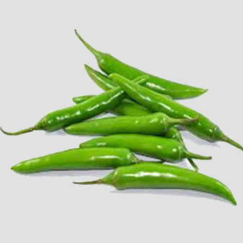 Hot Spicy Natural Taste Healthy Fresh Green Chilli