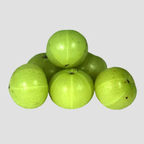 Round & Oval Sour Taste Natural And Healthy Fresh Green Gooseberry