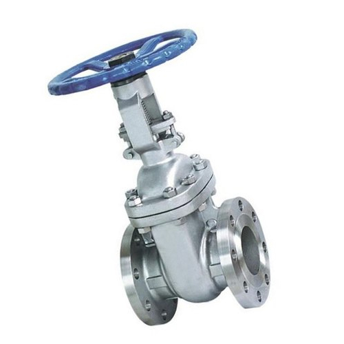 Stainless Steel Gate Valve