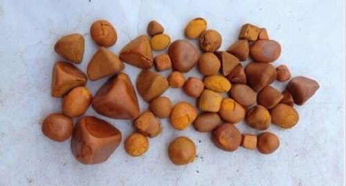 100% natural top Quality Ox Gallstones Cattle