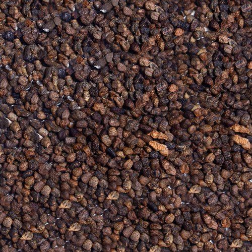Diuretic Indian Big Black A Grade Loaded With Antioxidants Sorted Quality And Properties Pure Cardamom Seed