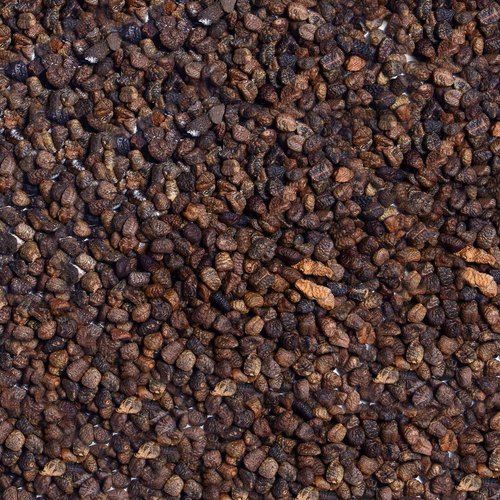 Brownish Diuretic Indian Big Black A Grade Loaded With Antioxidants Sorted Quality And Properties Pure Cardamom Seed