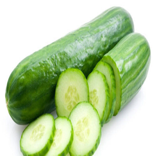 Finest Quality Natural Taste Healthy Green Fresh Gherkins