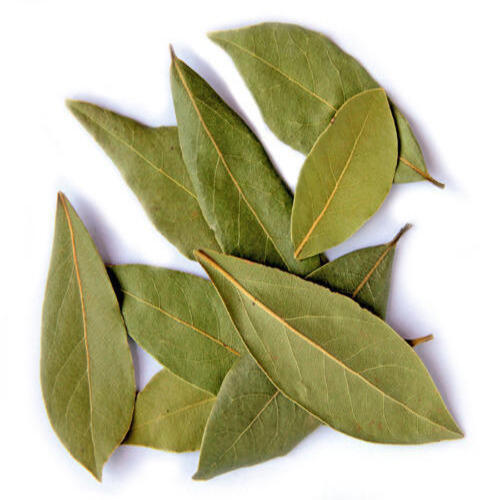 Full Sorted Type Long Size Clean A Grade Pure Organic Bay Leaf Preserved Natural Taste