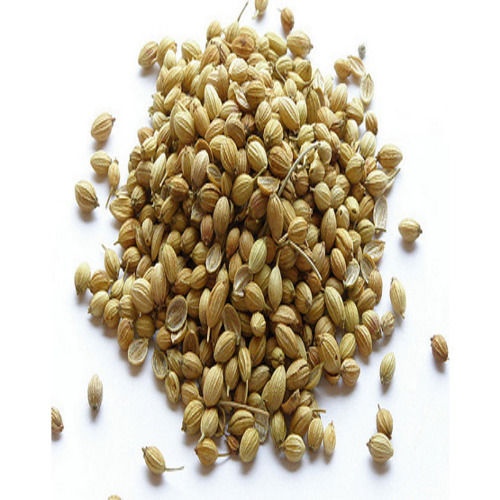 Healthy Natural Taste Dried Coriander Seeds Packed In Jute Bag Grade: Food Grade