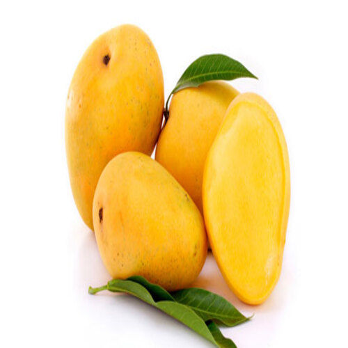 Highly Nutritious Sweet Natural Taste Healthy Yellow Fresh Mango