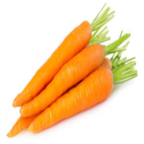 Natural Delicious Taste Good For Health Fresh Orange Carrot