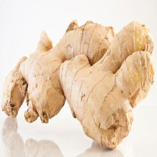 Natural Good Taste and Healthy Brown Fresh Ginger Packed in Cartoon Boxes