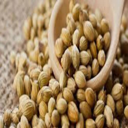 Pure Healthy and Natural Taste Dried Coriander Seeds