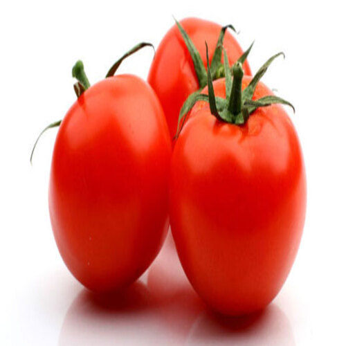 Round & Oval Pure Healthy Natural Taste Red Fresh Tomato Packed In Cartoon Boxes