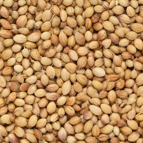A Grade Clean Whole Organic Spicy And Flavorable Sorted Quality Pure Indian Coriander Seed 