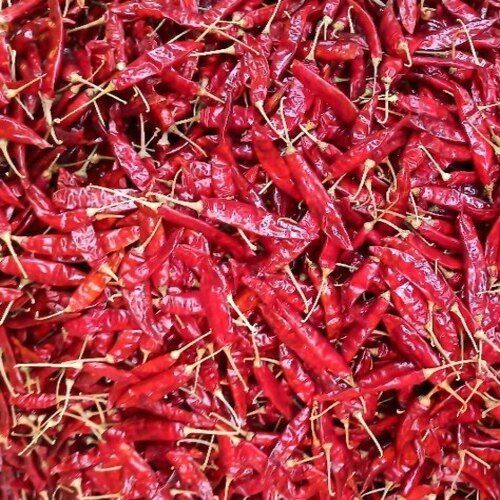 Field Harvested Long Size Stemless Indian Pure Natural Organic Whole Dry Red Chilli Flakes