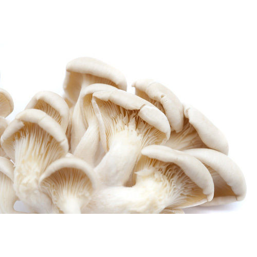 Natural Taste Iron 2% Healthy White Fresh Spawn Mushroom Grade: Food Grade