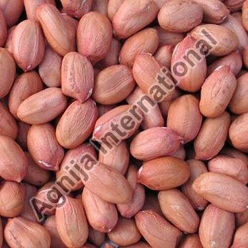 Oil Content 42% - 48% Natural Fine Taste Healthy Dried Bold Peanuts
