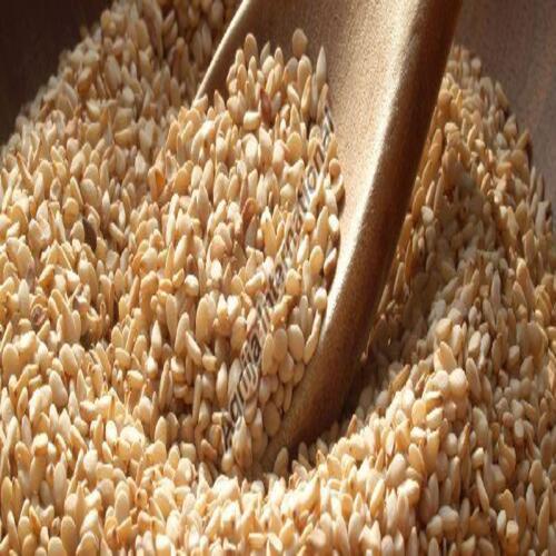 Oil Content 48% Moisture 6% Max Healthy Dried Natural White Sesame Seeds