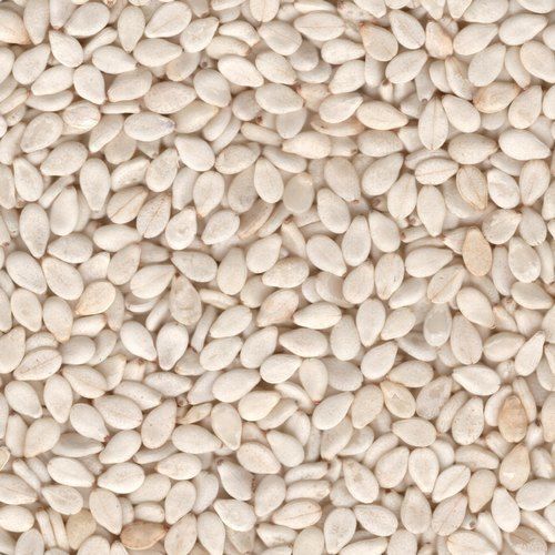 Pure Lighter Flavory Organic Rich In Multi Minerals Mild Taste Indian White Sesame Seed