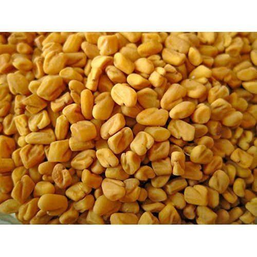 Purity Proof Bold Size Attentively Sorted Indian Organic Yellow Whole Fenugreek Seed Grade: A Grade