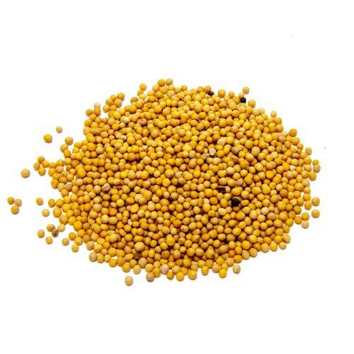 Filled With Natural Oil Super Quality Purity Proof And Sorted Indian Organic Yellow Mustard Seeds