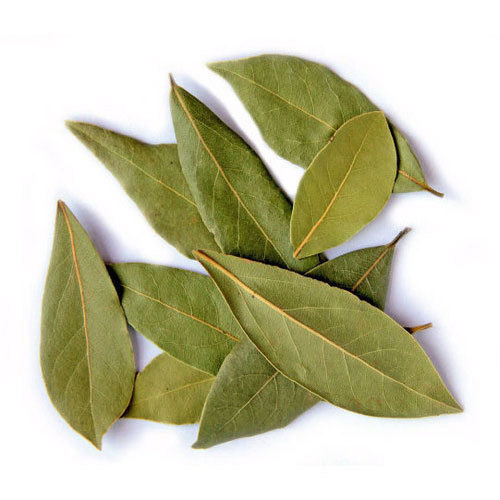 Full Sorted Type Long Size Clean A Grade Super Quality Fragrance Pure Organic Bay Leaf