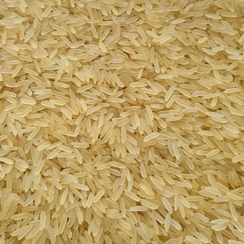 Medium Grain Natural Taste Healthy Dried Pr11 Golden Rice Shelf Life: 18 Months