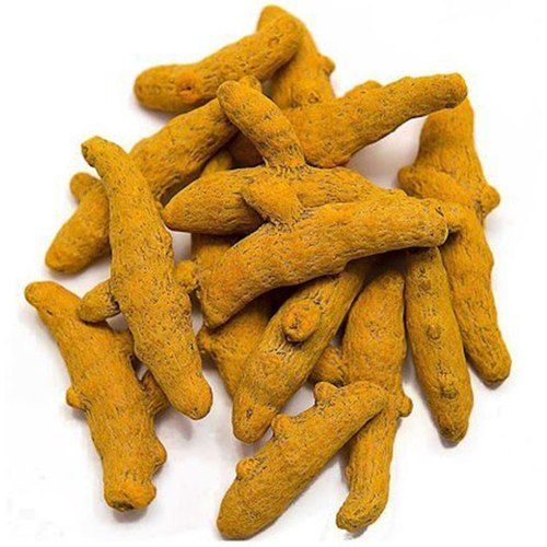 Yellow Turmeric Fingers Cum Stick Naturally Pure Long Dried Organic Indian A Grade And Polished