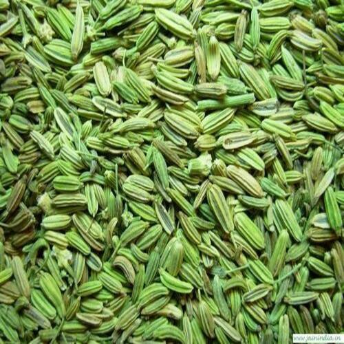 Green Field Fresh Clean And Big Size Sorted Pure Indian Organic Sweet Whole Fennel Seed