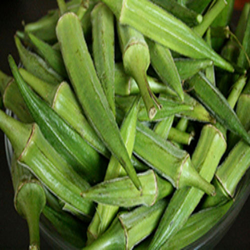 Good Natural Taste and Healthy Organic Fresh Green Okra