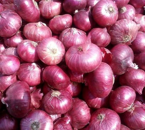 High Quality Natural Taste Healthy Fresh Red Onion Packed in Net Bag