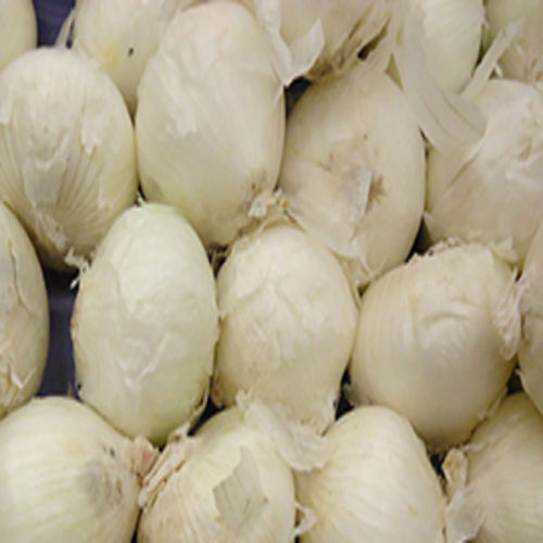 High Quality Natural Taste Healthy Organic Fresh White Onion