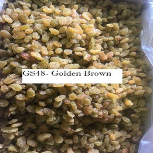 Naturally Processed Long Size Round Sweet Organic Dry Golden Raisins