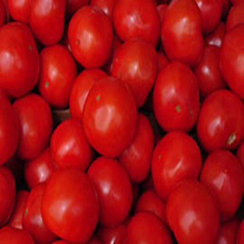 Pure Healthy Natural Taste Organic Red Fresh Tomato Packed in Plastic Crates