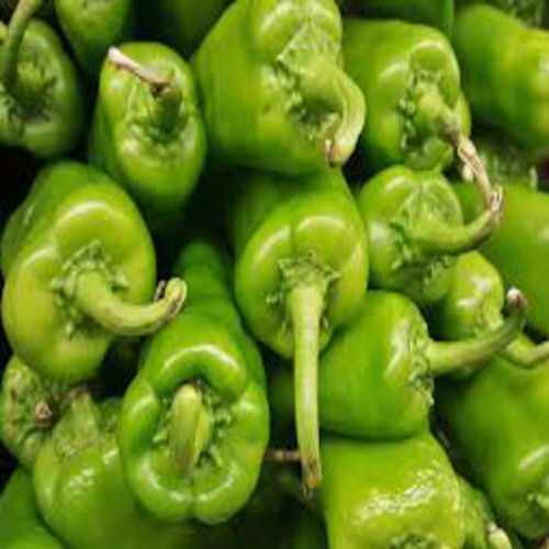 Vitamin A 23% Vitamin C 404% Calcium 1% Iron 6% High in Protein Healthy Natural Taste Green Fresh Capsicum