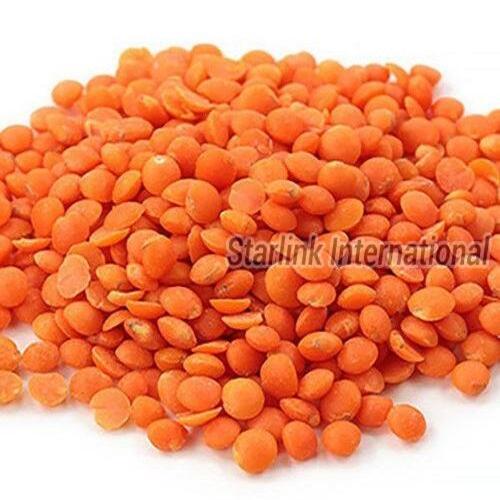 Healthy To Eat Nutritious High Protein Dried Organic Red Masoor Dal