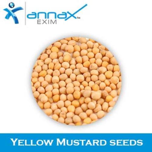 High Quality Natural Taste Healthy Yellow Mustard Seeds