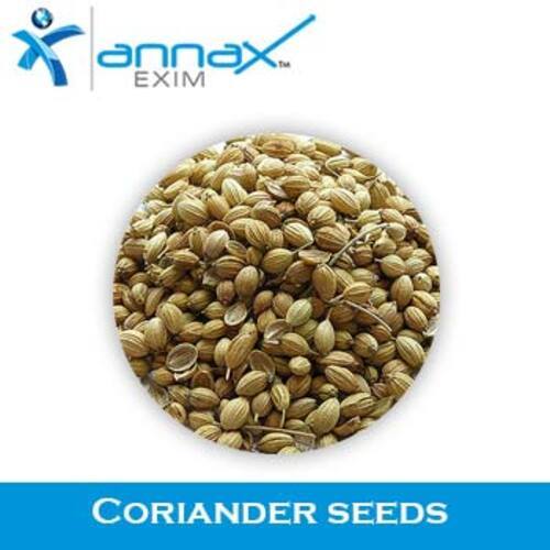 Long Shelf Life Natural Taste Healthy Dried Coriander Seeds