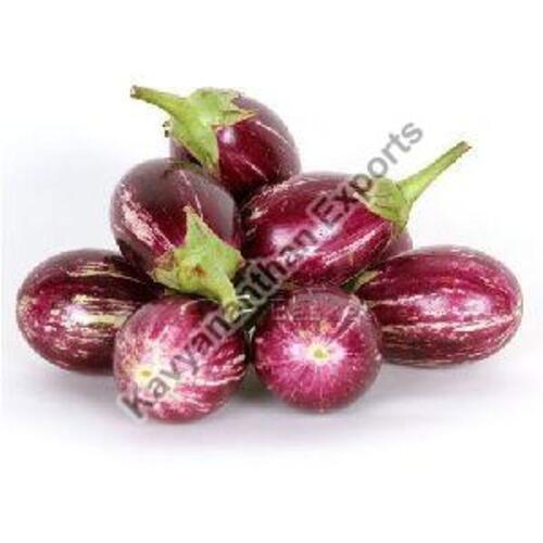 Natural Fresh Brinjal For Cooking Preserving Compound: Cool & Dry Places