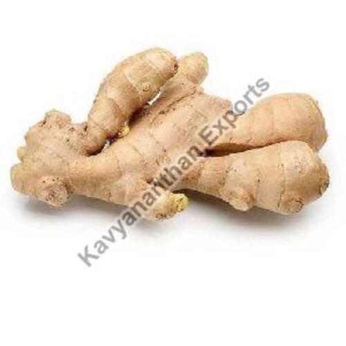 Fresh Cut Brown Ginger - Very Good Quality, Natural Vegetable for Cooking and Cosmetic Use, Chopped Form, Irregular Shape, Stored in Cool & Dry Places, Shelf Life of 1-3 Months