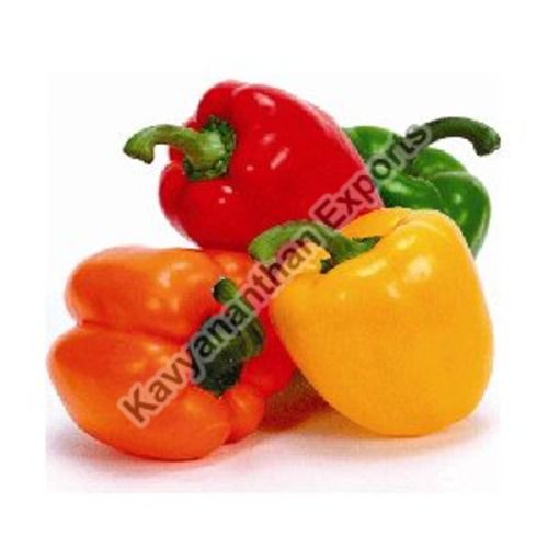 Natural Fresh Capsicum for Cooking