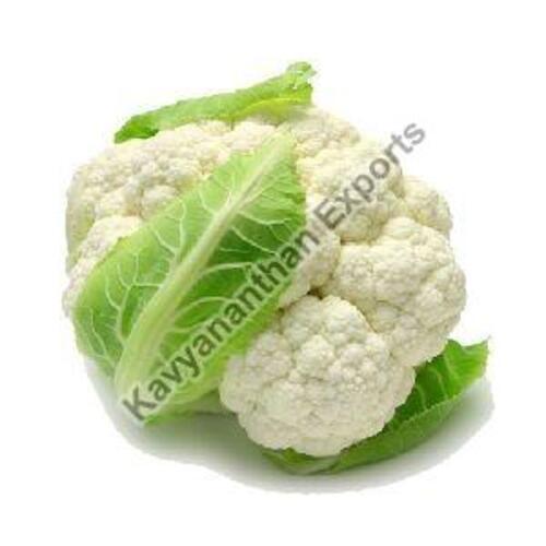 Natural Fresh Cauliflower For Cooking Preserving Compound: Cool & Dry Places