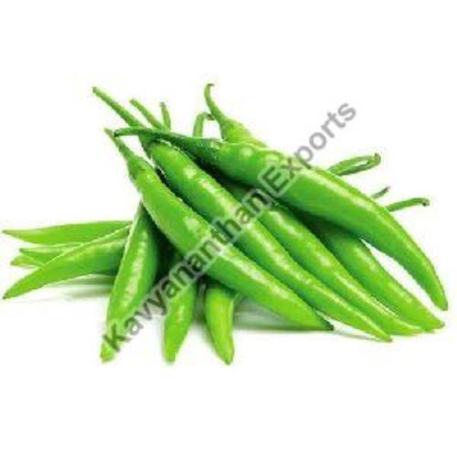 Natural Fresh Green Chilli for Cooking