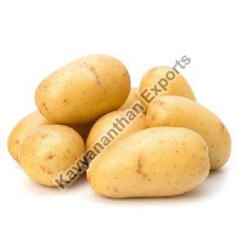 Natural Fresh Potato For Cooking Preserving Compound: Cool & Dry Places