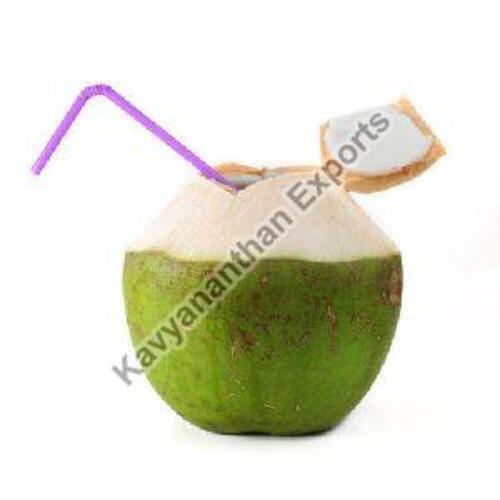 Full-Husked Natural Green Tender Coconut