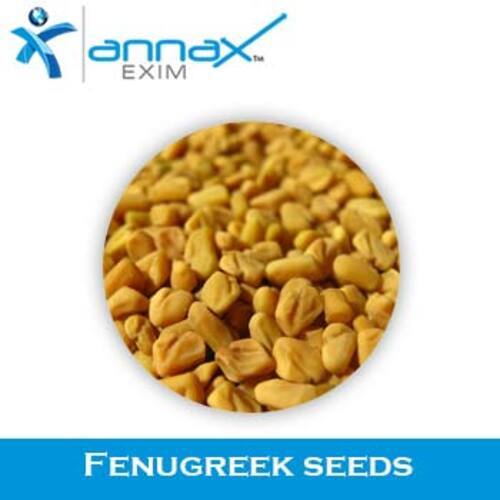 Natural Taste Dried Healthy Fenugreek Seeds Packed in PP and Jute Bag