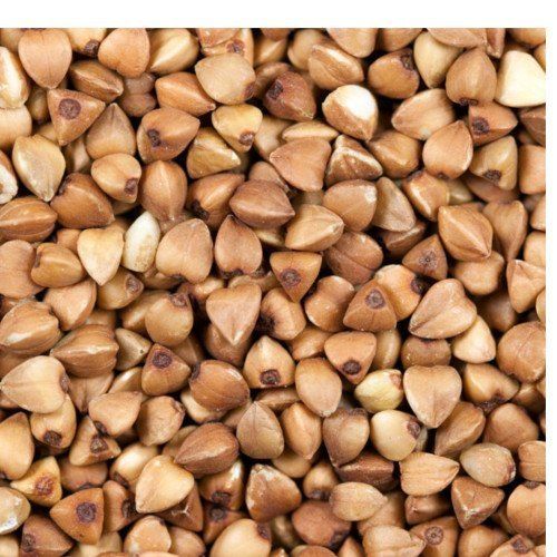 Highly Nutritious Whole A Grade Quality Rich In Fiber Buckwheat Grain Seed