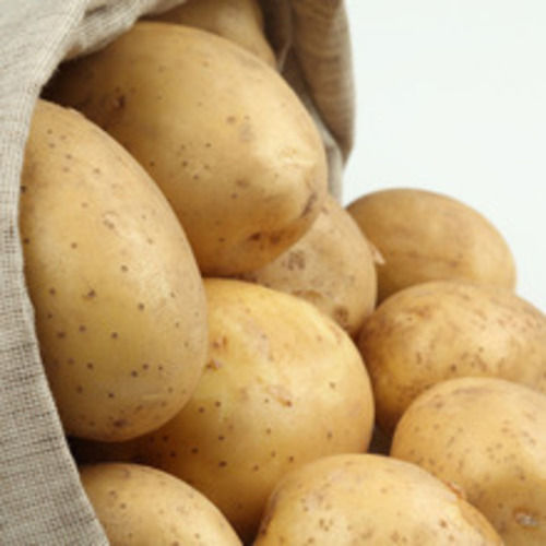 Mild Flavor Good In Taste Healthy Brown Fresh Potato